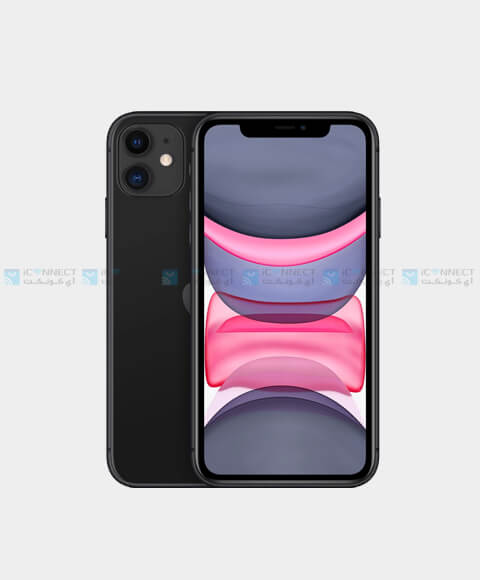 iPhone 11 in Qatar