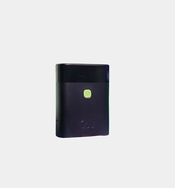 Goui P10 Premium Power Bank 10000 MAH