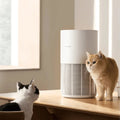 Xiaomi Smart Pet Care Air Purifier in Qatar