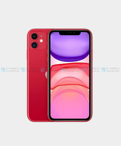 iPhone 11 in Qatar
